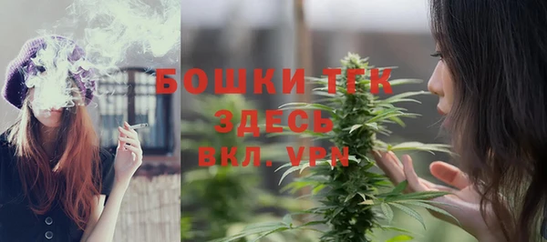 прущие грибы Заволжск