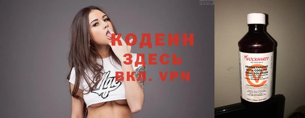 прущие грибы Заволжск