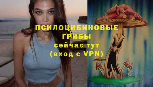 прущие грибы Заволжск