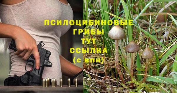 гашишное масло Заводоуковск