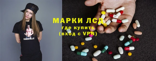 прущие грибы Заволжск