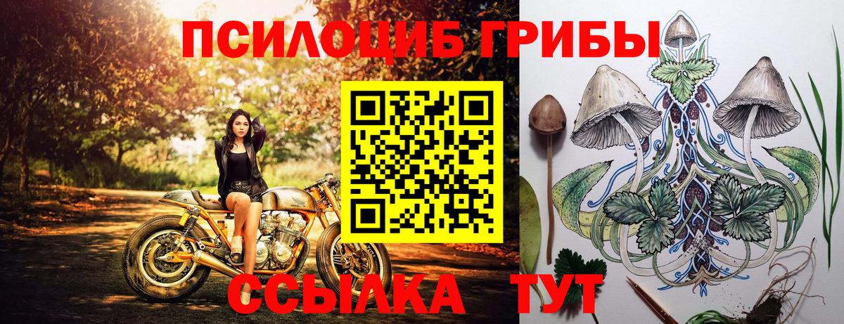 Галлюциногенные грибы GOLDEN TEACHER Бугульма