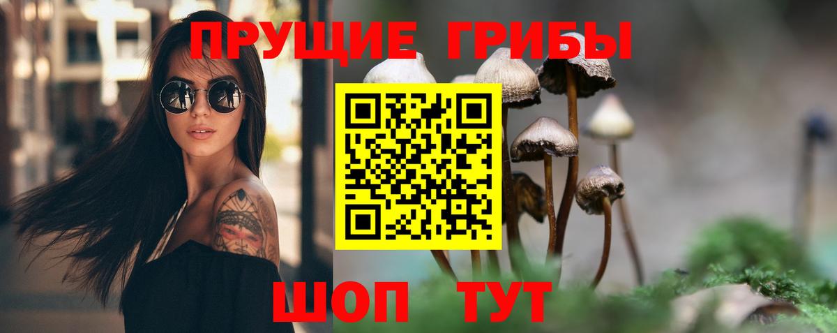 Галлюциногенные грибы Magic Shrooms  Бугульма  Псилоцибиновые грибы Magic Shrooms 