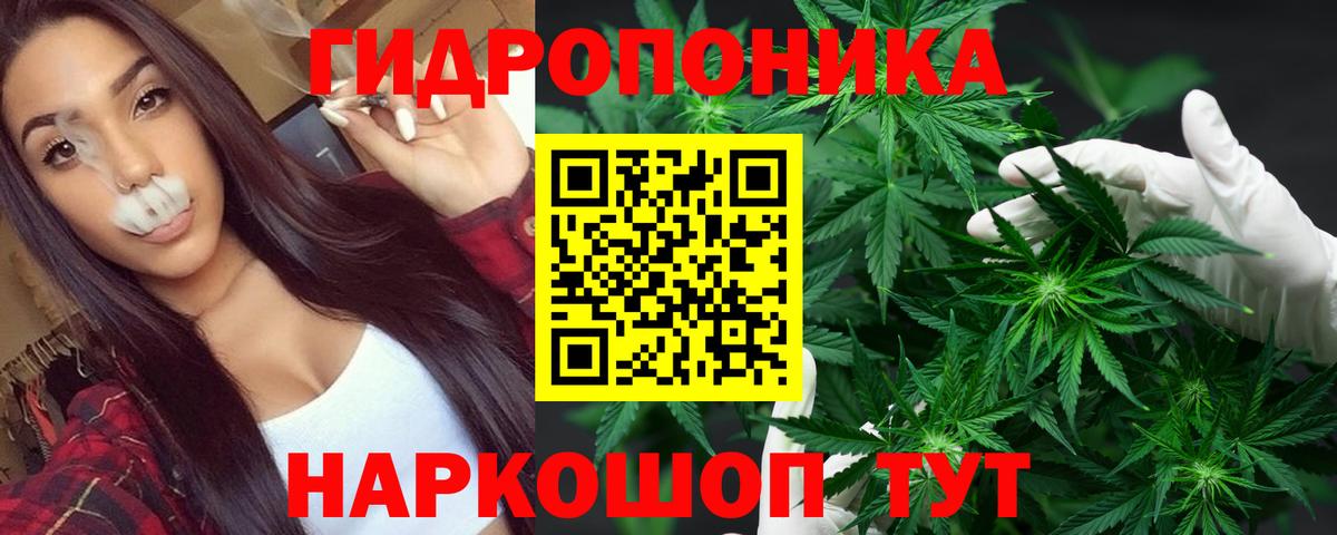 МАРИХУАНА семена Бугульма